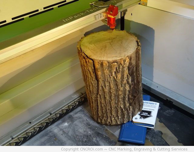 WP_20150827_20_37_51_Pro CNC Laser Engraving a Wood Log Top