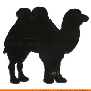 0043-300x300 Camel Side Shape (0043)