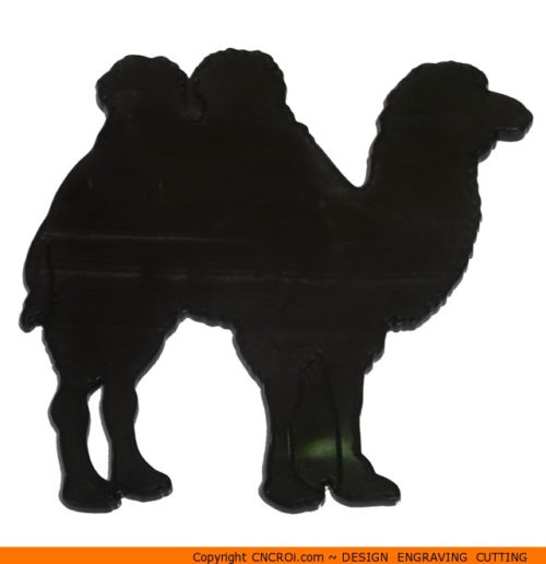 0043-500x516 Camel Side Shape (0043)