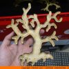 tree-ornament-x7-100x100 Scary Small Tree Shape (0157)