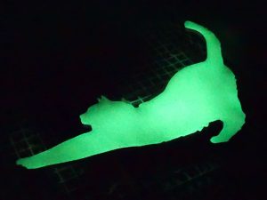 glow-in-the-dark-cats-x1-300x225 glow-in-the-dark-cats-x1